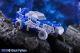 Dr.WU MS-36G Giant Python,in stock